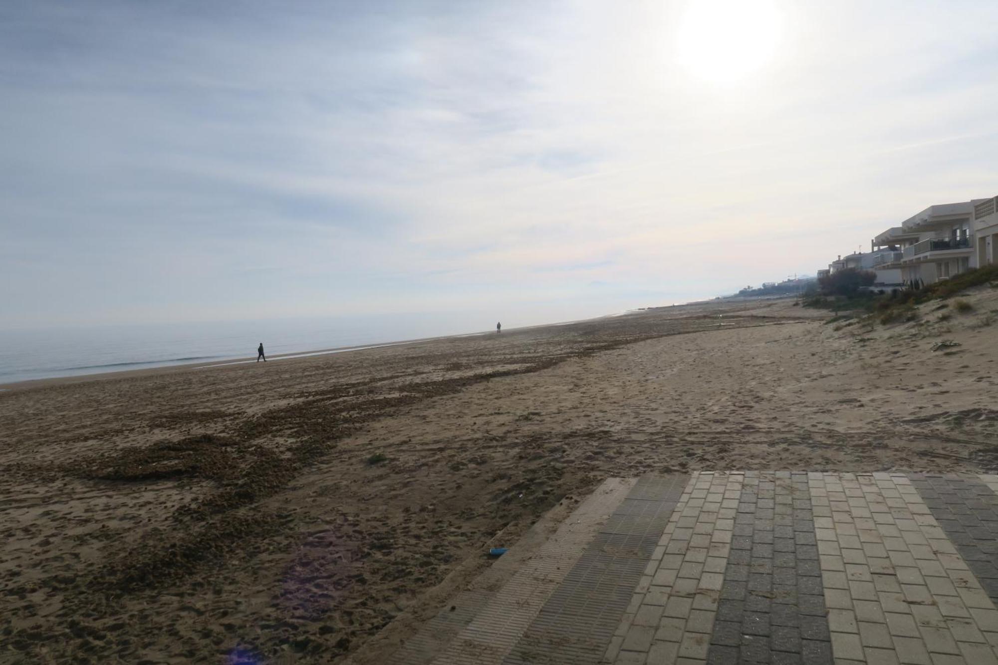 A 50 Metros Del Mar Daire Oliva Dış mekan fotoğraf