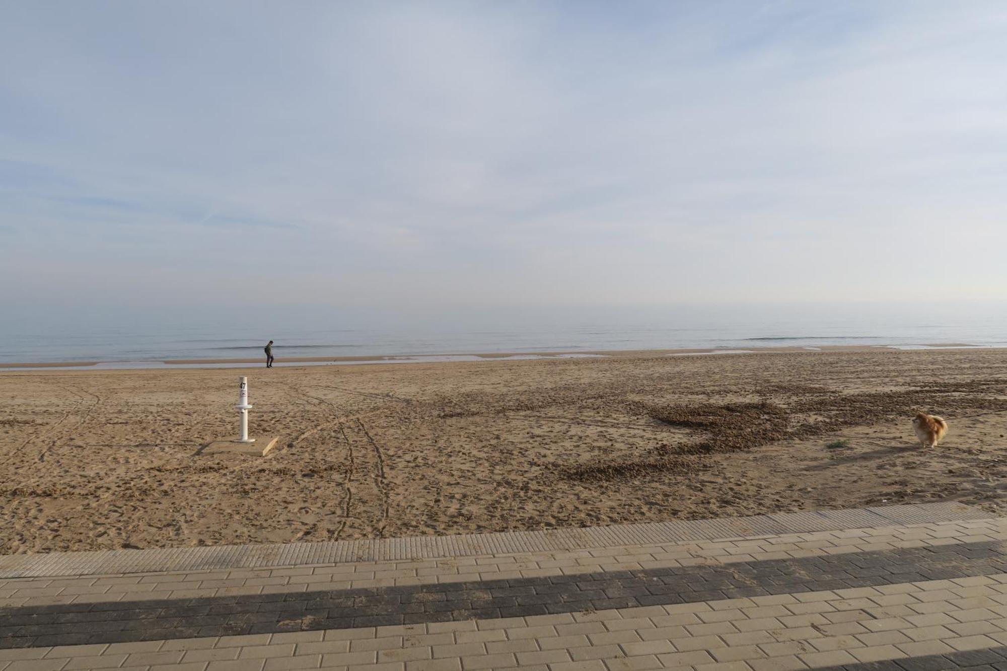 A 50 Metros Del Mar Daire Oliva Dış mekan fotoğraf